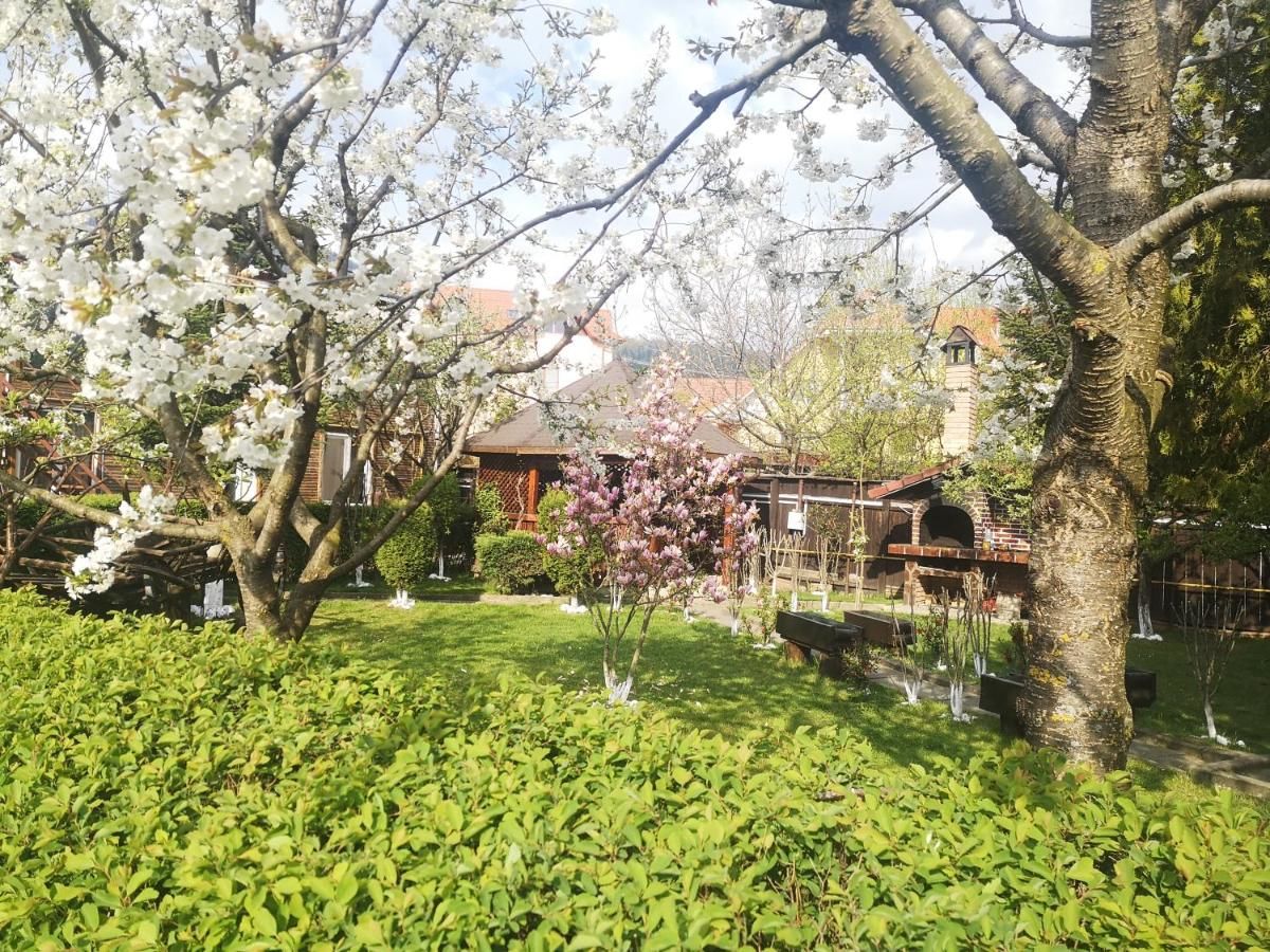 Гостевой дом Casa Din Noua Брашов-46